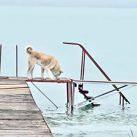 Vakantiehuis Szarszo With 3 And Private Beach, Private Parking *