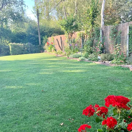 Vakantiehuis Szarszo With 3 And Private Beach, Private Parking *