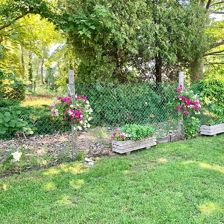 Szarszo With 3 And Private Beach, Private Parking Vakantiehuis