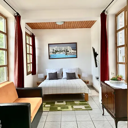 Szarszo With 3 And Private Beach, Private Parking Vakantiehuis Balatonszarszo