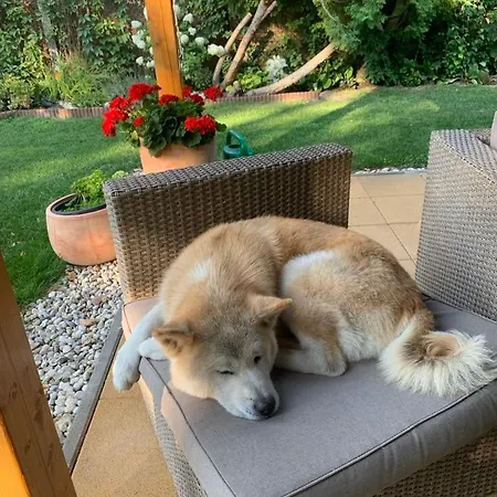 Szarszo With 3 And Private Beach, Private Parking *